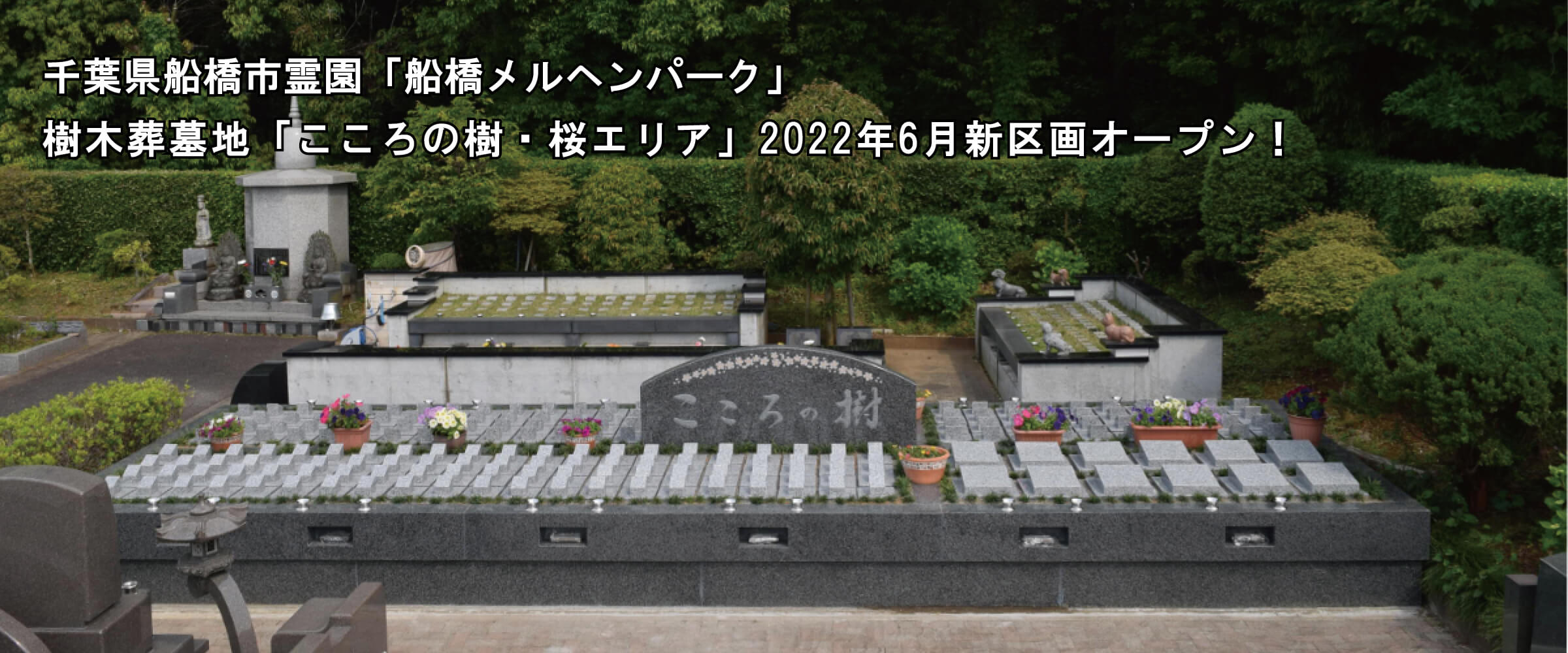 千葉県船橋市霊園「船橋メルヘンパーク」樹木葬墓地「こころの樹・桜エリア」2022年6月新区画オープン！